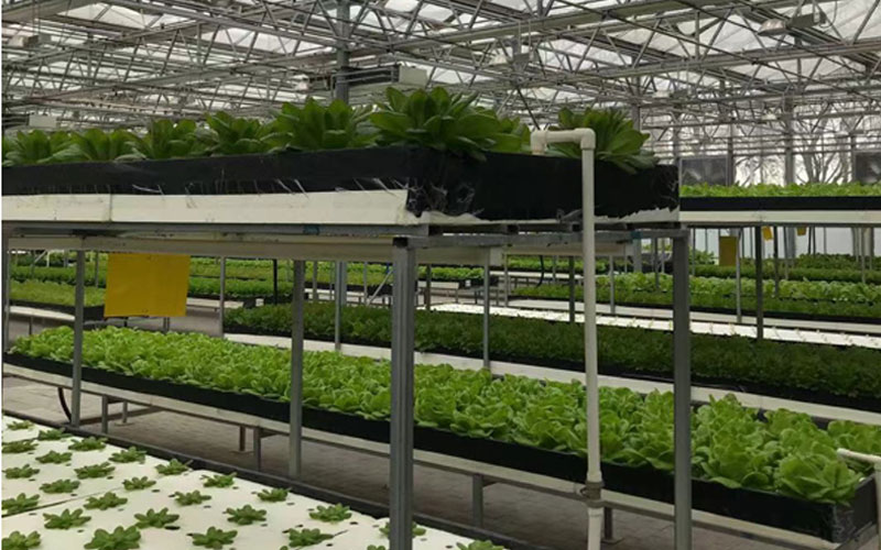 德赢·(VWIN)官方网站-AC米兰官方相助同伴